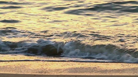 Calm waves breaking on an empty beach