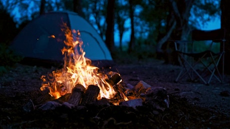 Campfire in the woods at night.