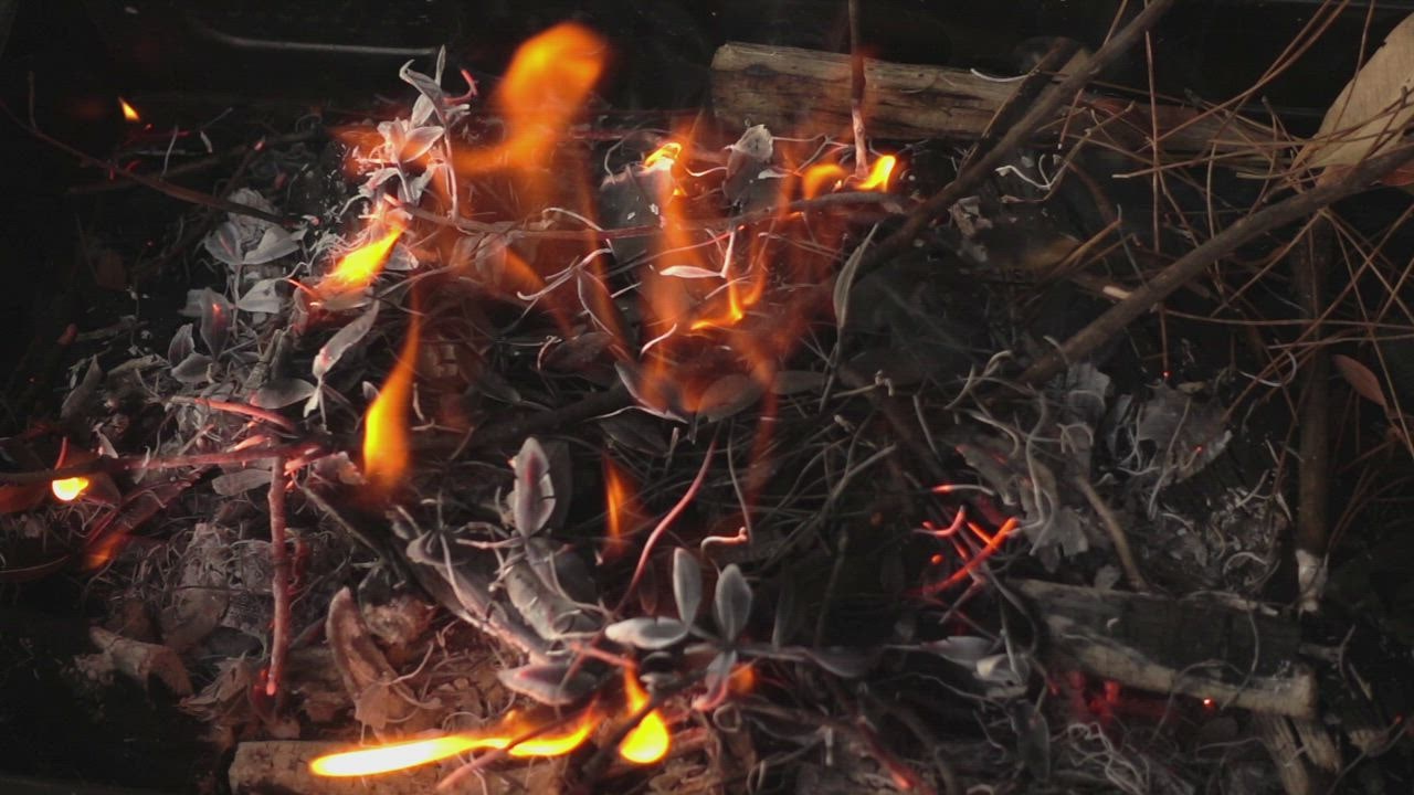 https://mixkit.imgix.net/videos/preview/mixkit-campfire-made-with-branches-17963-0.jpg?q=80&auto=format%2Ccompress