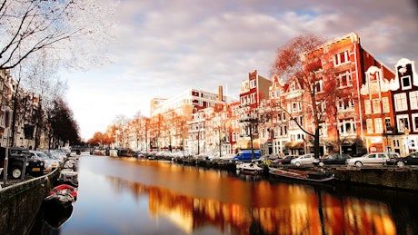 Canal and street scene in amsterdam