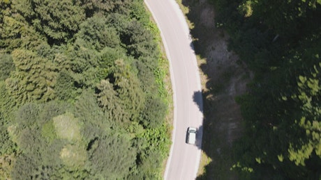 Car going slowly in a road between nature.