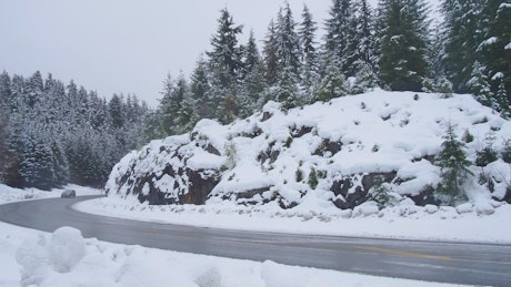 汽车在白雪皑皑的森林中转弯