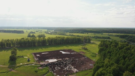 Cattle breeding field in the middle of the forest.