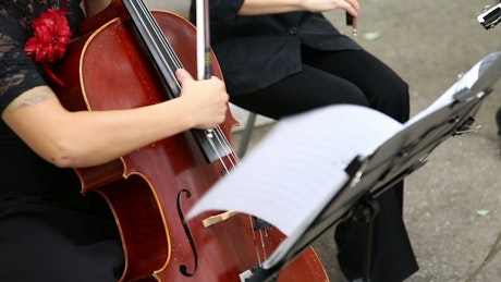 Cello player turning page in the wind.