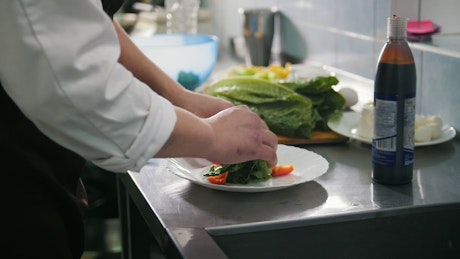 Chef preparing salad in the restaurant kitchen.