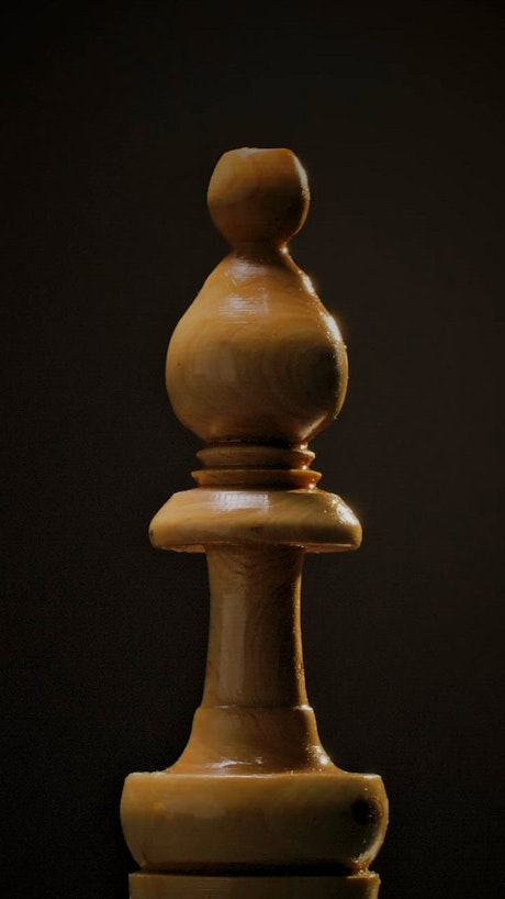 Chess alfi rotating on a dark background.