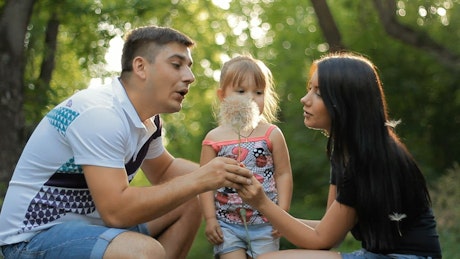 Child blowing on a huge dandelion with her parents.