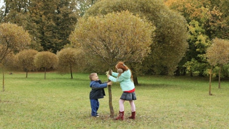 Children playing with a tree.