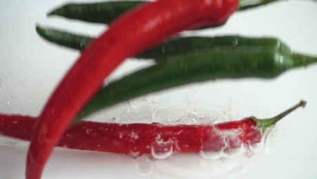 Chilli Peppers in water