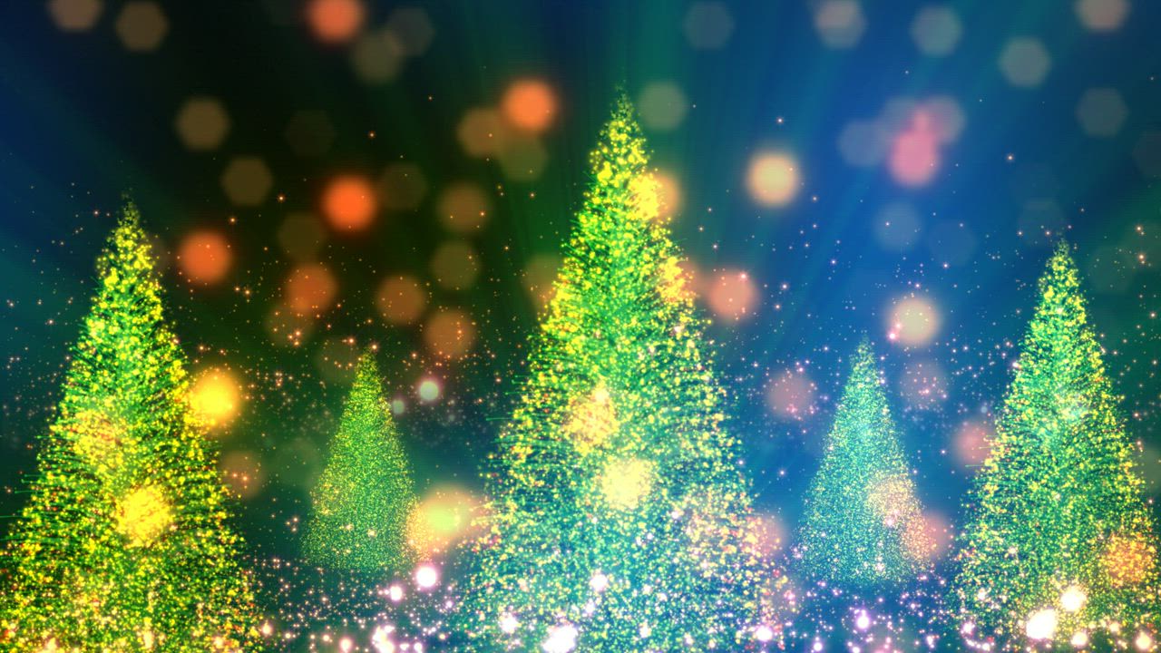 Christmas Trees And Particles With Bokeh In The Background Mixkit