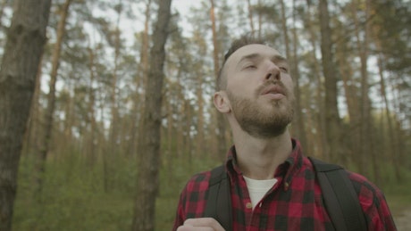 Cinematic view of man enjoying forest air.