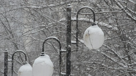 City street lights covered in snow.