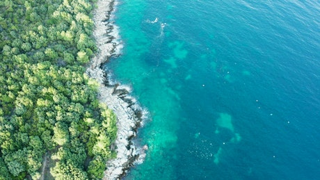 Clear coastal waters and forest