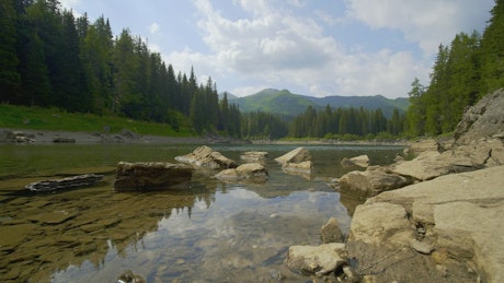 Clear lake and rocky shore in forest landscape