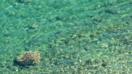 Clear sea water.