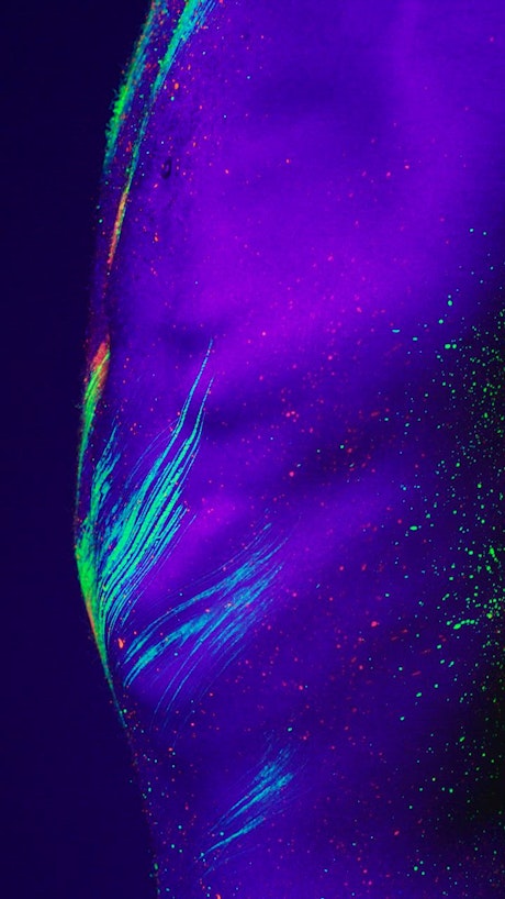 Close shot of a man smeared with fluorescent paint.