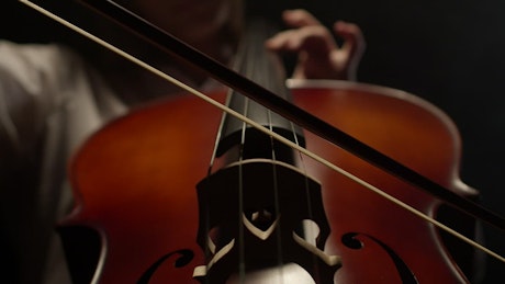 Close up of a classical musician playing a cello.