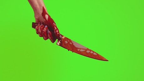 Close up of a hand holding a knife dripping with blood.