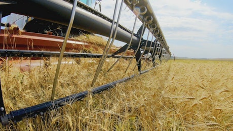 Close up of a mower harvesting wheat.