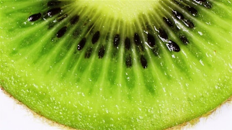Close up of a slice of vibrant green kiwi fruit.