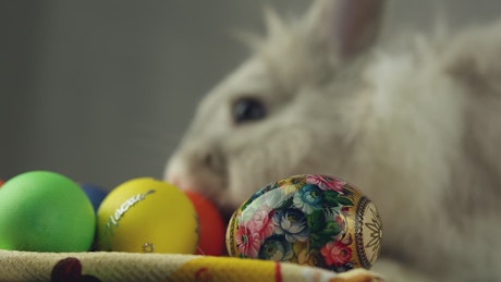 Close up of an Easter Rabbit with eggs.