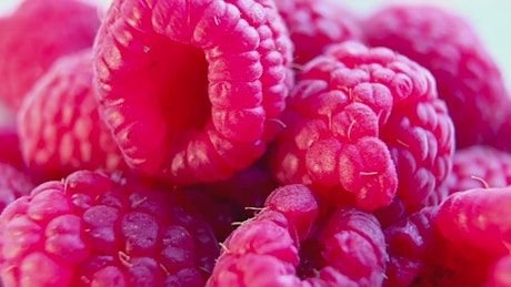 Close up of fresh raspberries rotating.