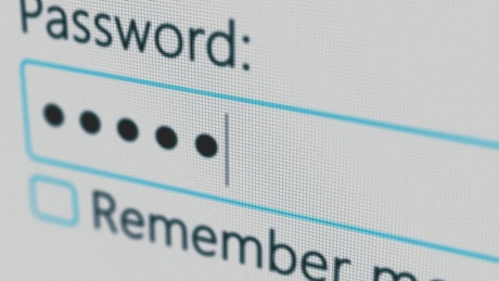 Close up of password on a computer screen.