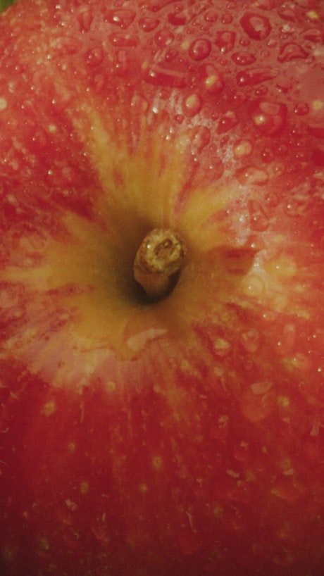 Close up view of some fresh apples.