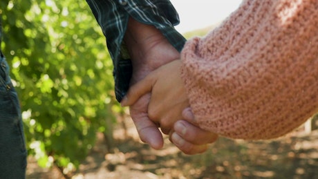 Closeup of couple holding hands.