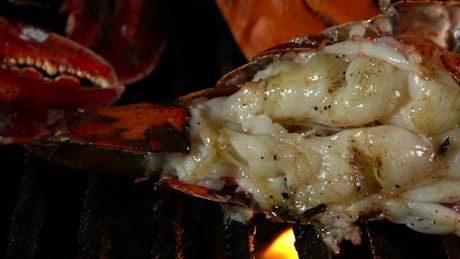 Closeup of grilled seafood.