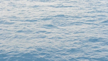 Closeup of the ocean surface.
