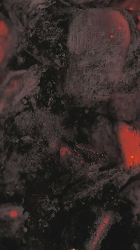 Coal consumed in fire.