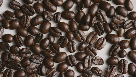 Coffee beans rotating on white surface.