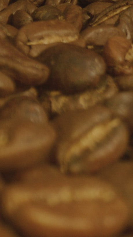 Coffee beans texture.