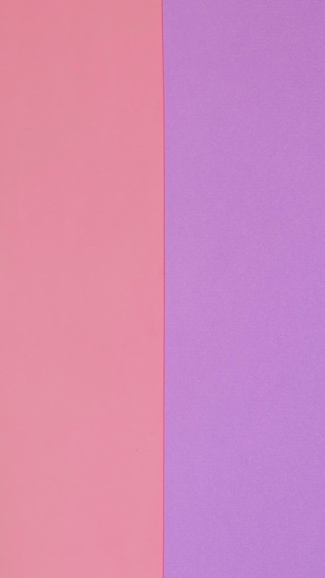 Conceptual video of a pink banana on a pink and lilac background