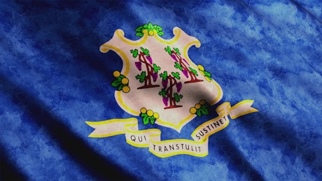 Connecticut State flag waving, close up
