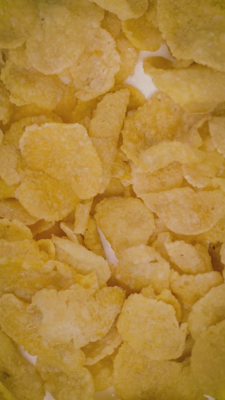 Corn flakes cereal texture with milk.
