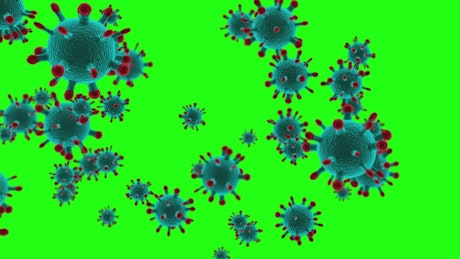 Coronavirus transition with chroma background
