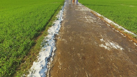 Couple and their dog walking through green agricultural fields