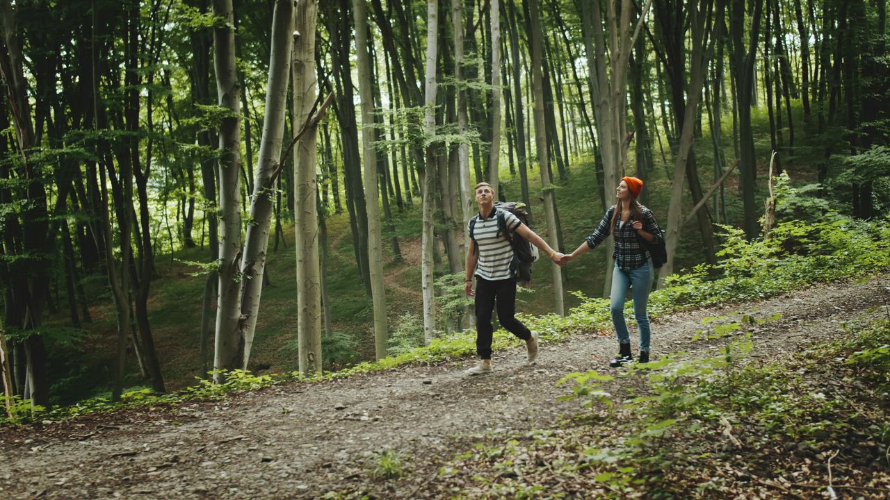 Couple hold hands on romantic hike in forest - Free Stock Video