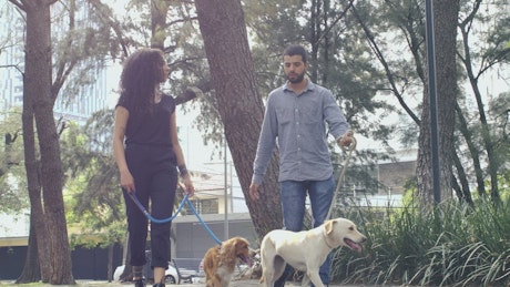 Couple walking with their dogs through a park.