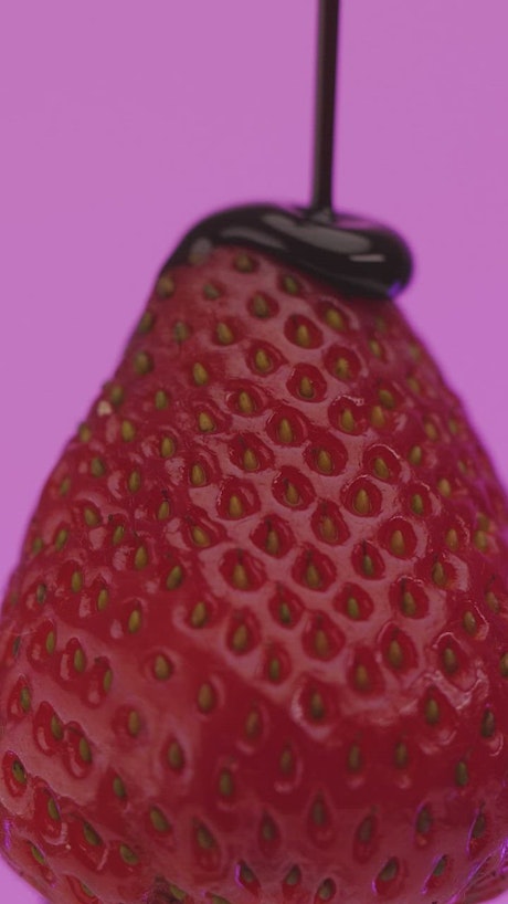 Covering a strawberry with liquid chocolate on a lilac background