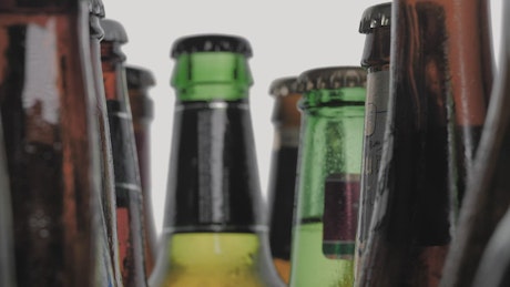 Craft beer bottles.