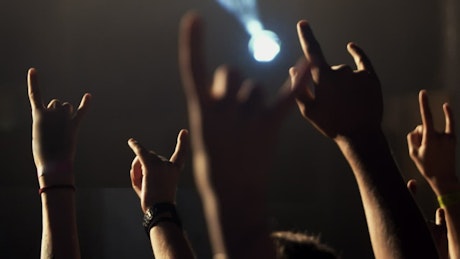 Crowd cheering at a rock concert.