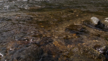 Crystal clear creek water bathes the rocks in the shore.