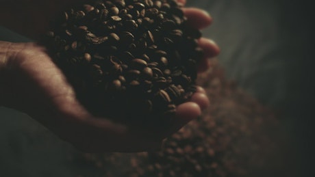 Cupped Hands with roasted coffee beans.