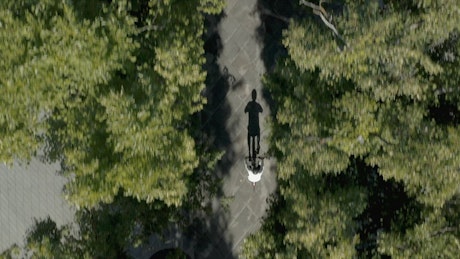 Cyclist riding among trees by drone.
