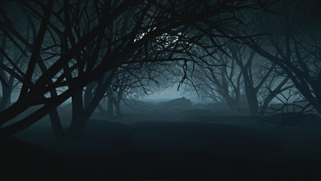 Dark forest on a night with a full moon for Halloween