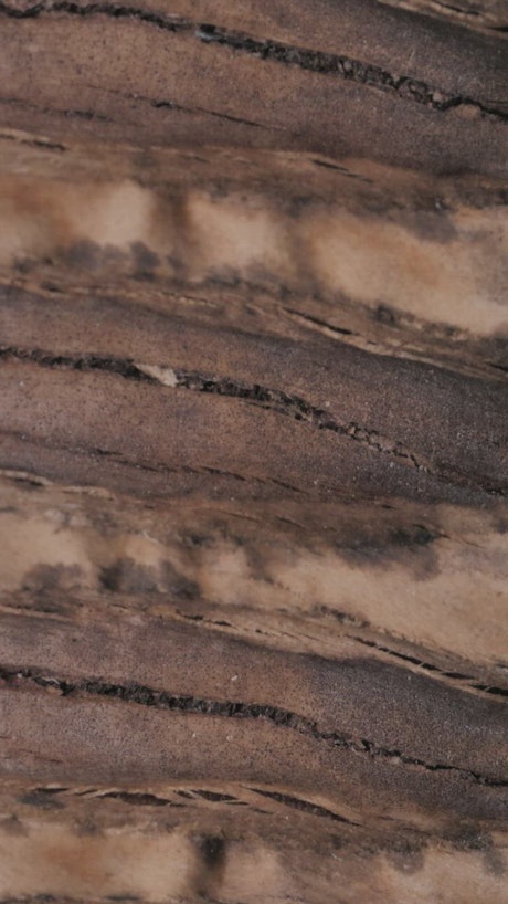 Detail view of the texture of a wooden board