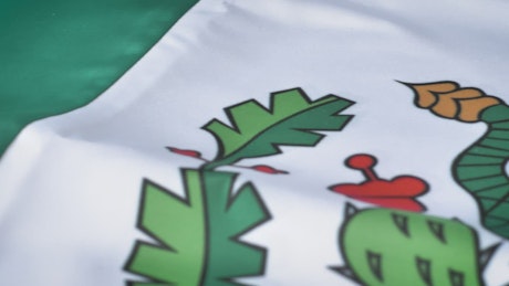 Detailed view to the flag of Mexico